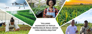 Peluang Kerja Menjanjikan untuk Lulusan Program Studi Agribisnis di Papua